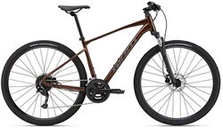 Xe đạp điện địa hình Giant Roam 2 Disc 2022
